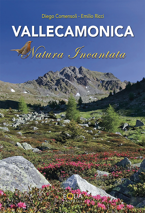 Vallecamonica natura incantata