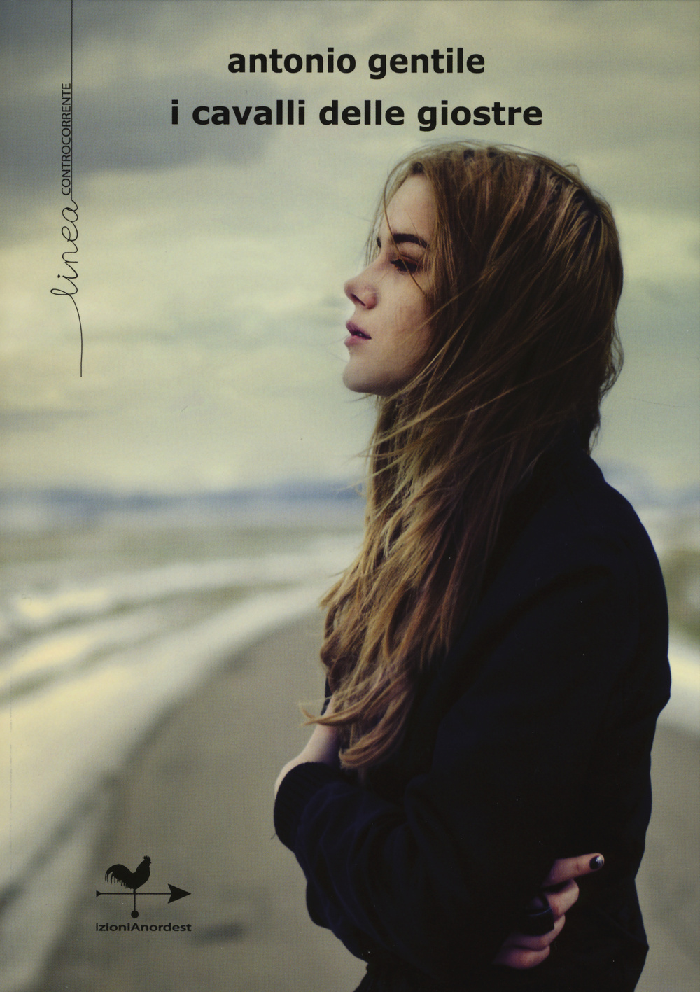 I cavalli delle giostre