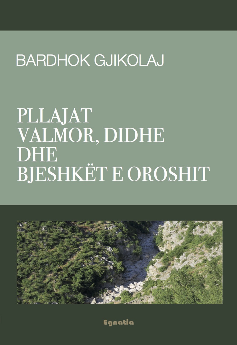 Pllajat Valmor, Didhe dhe Bjeshkët e Oroshit