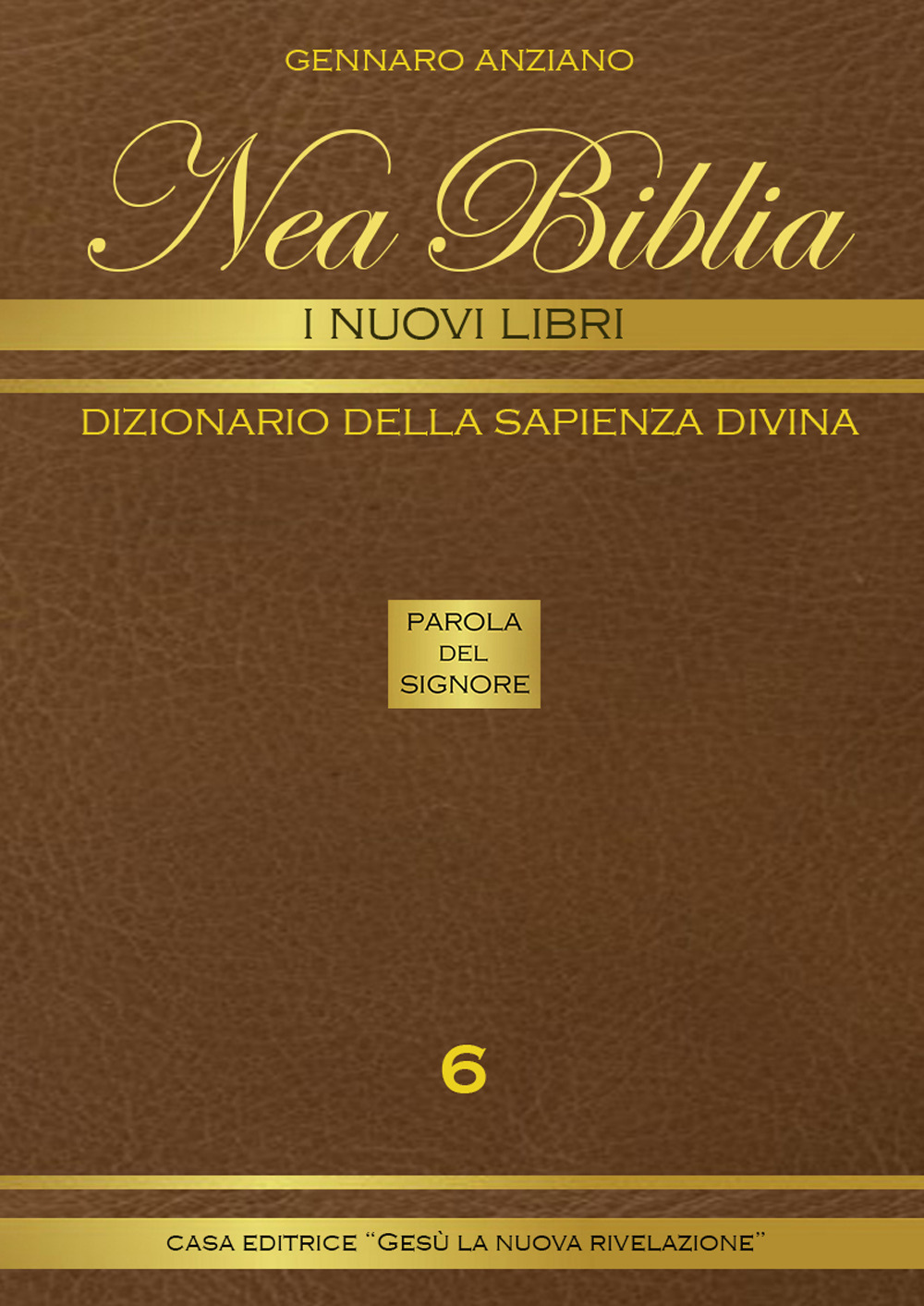 Nea biblia. Dizionario della sapienza divina. I nuovi libri. Vol. 6