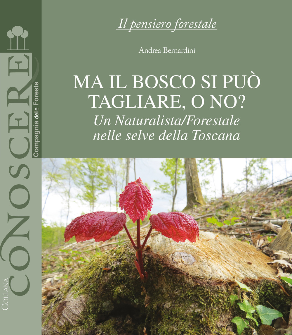 Ma il bosco si può tagliare, o no? Un naturalista/forestale nelle selve della Toscana