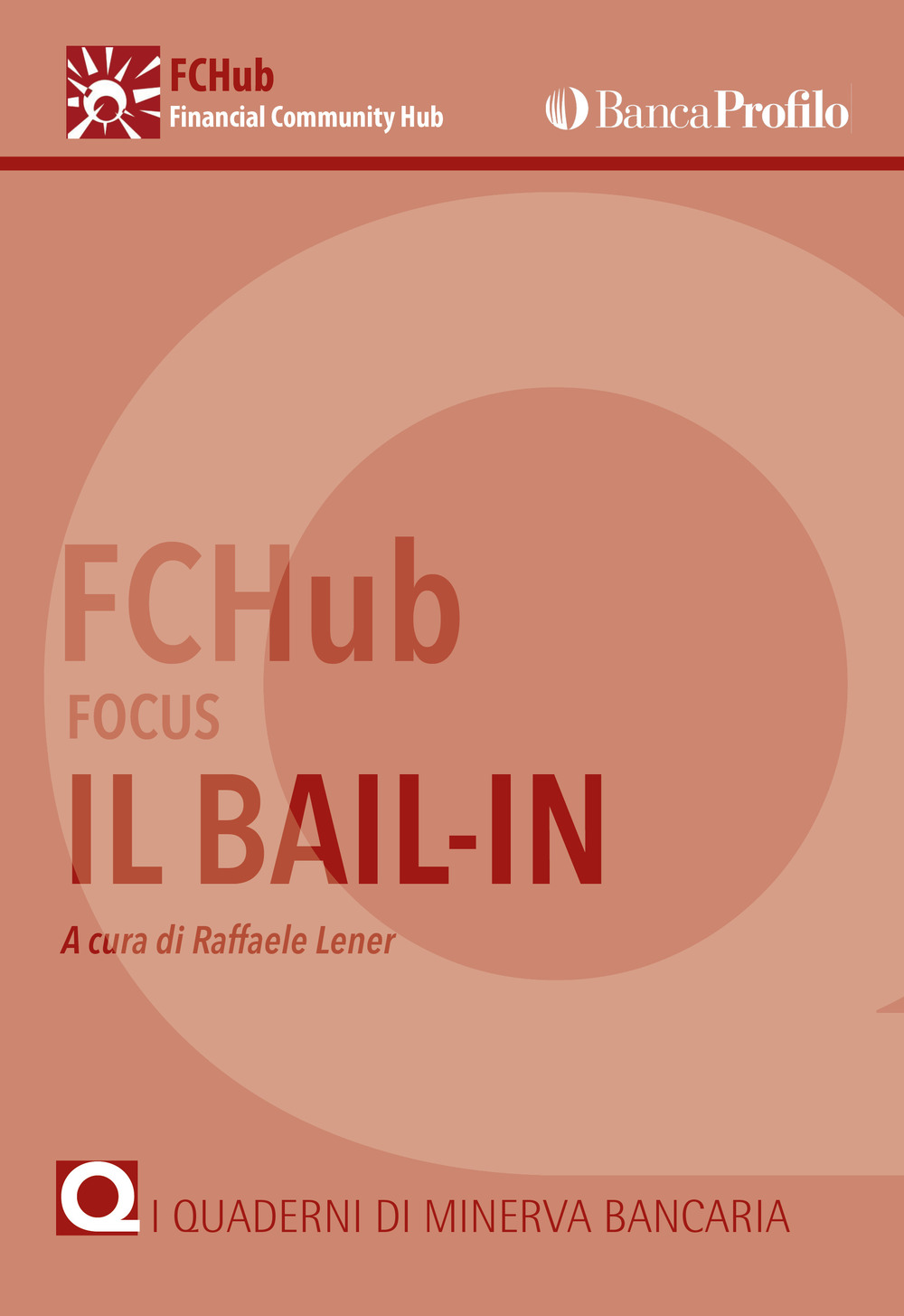 Focus. Il bail-in