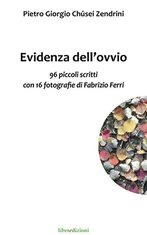 Evidenza dell'ovvio. 96 piccoli scritti con 16 fotografie di Fabrizio Ferri