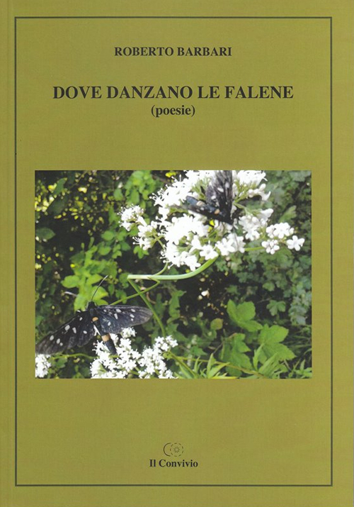 Dove danzano le falene
