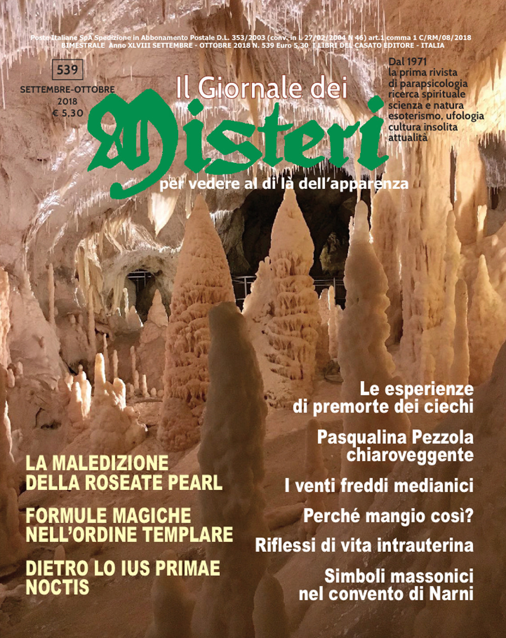 Il giornale dei misteri. Vol. 539