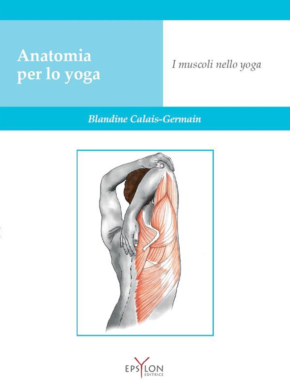 Anatomia per lo yoga. I muscoli nello yoga