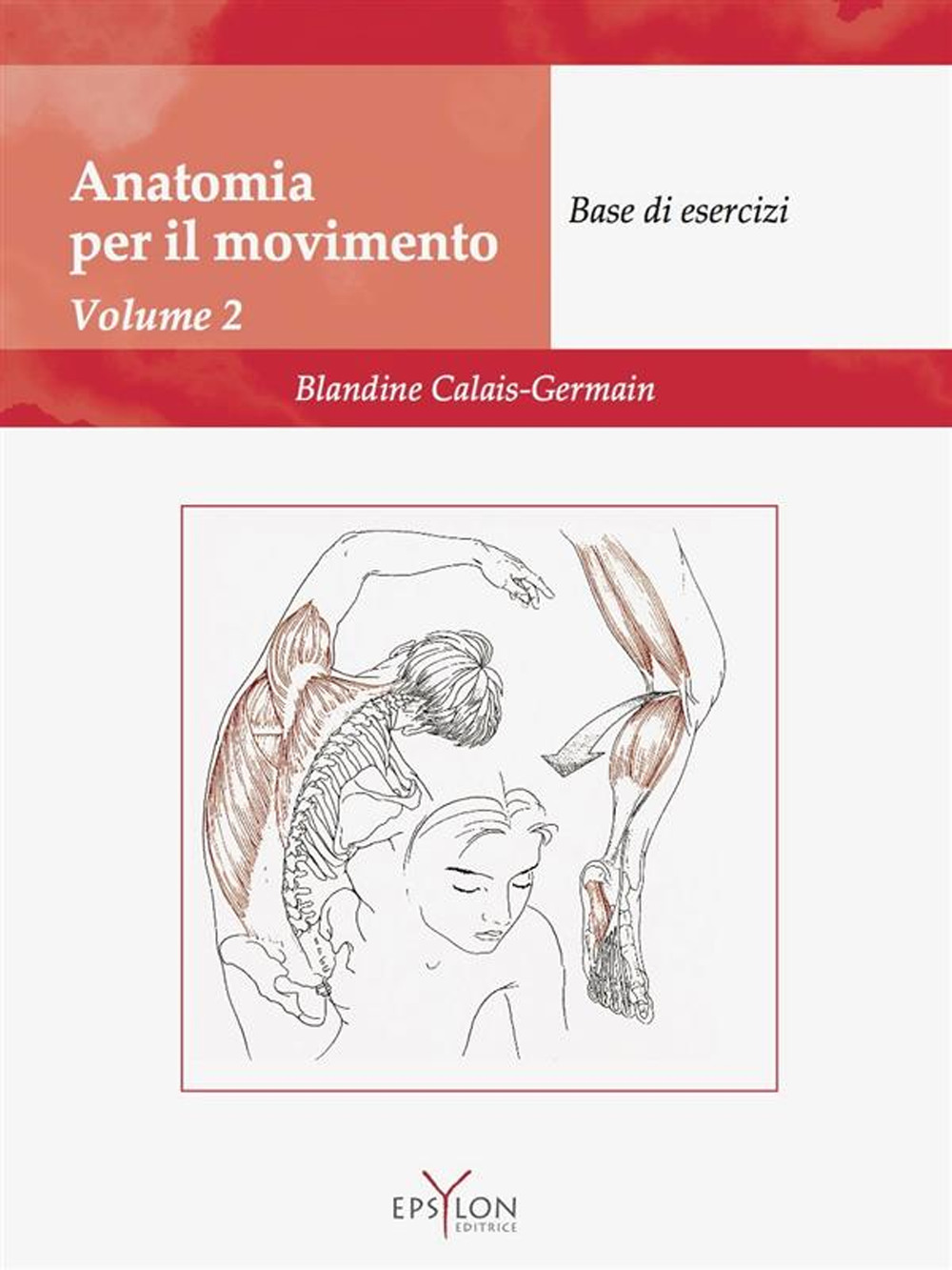 Anatomia del movimento. Vol. 2: Base di esercizi