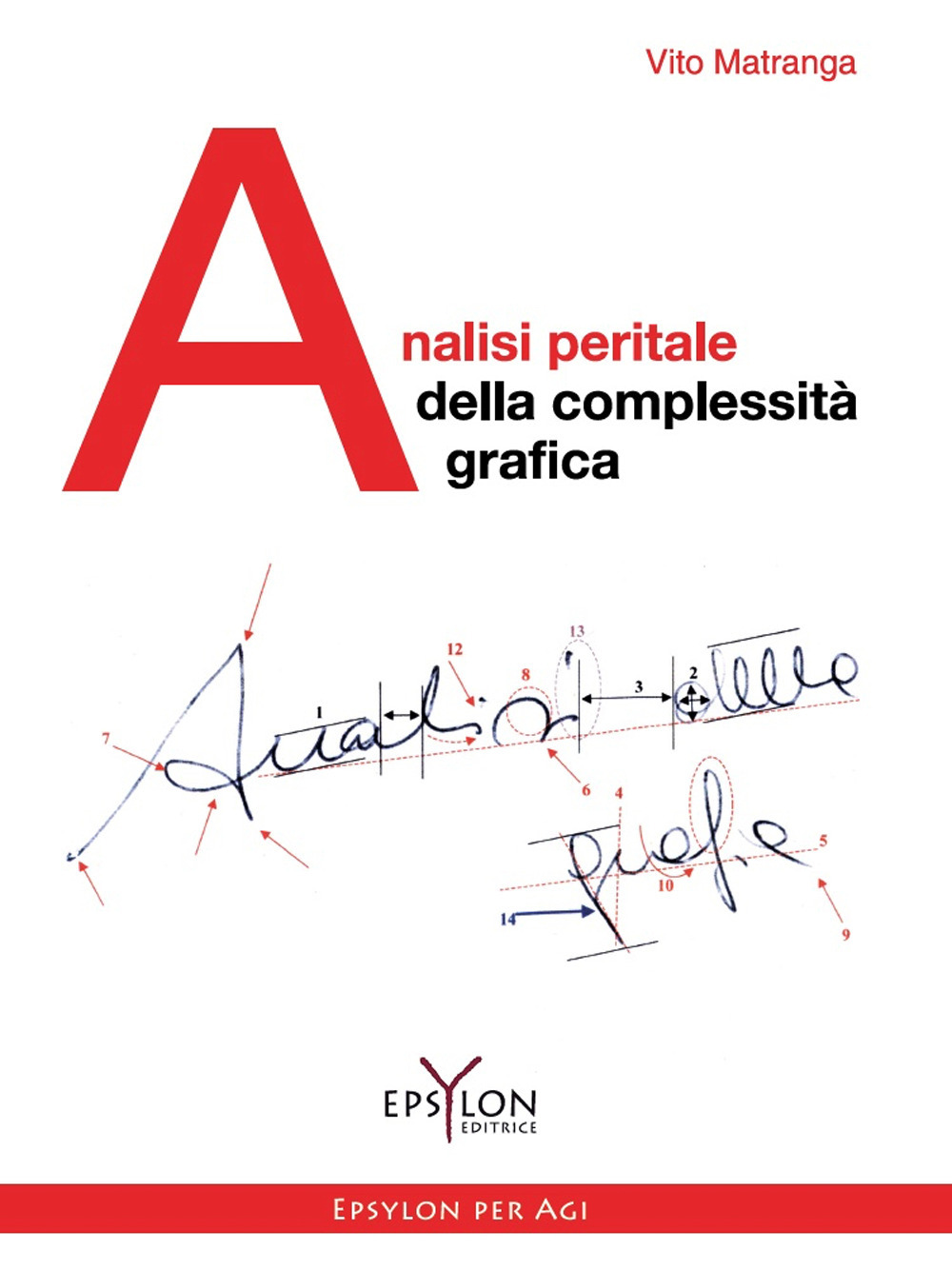 Analisi peritale della complessità grafica