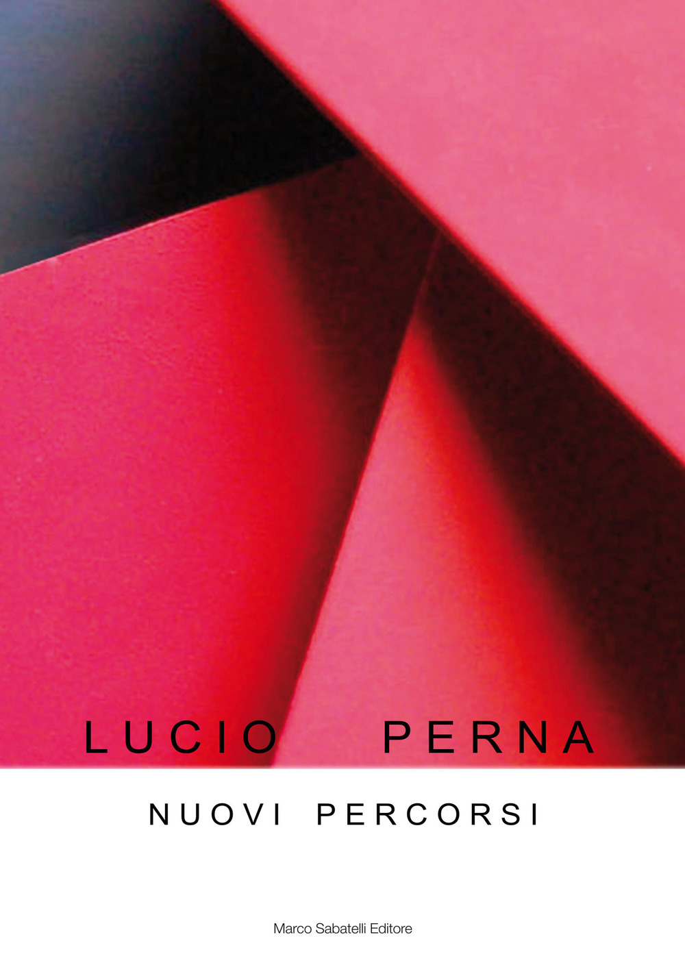 Nuovi percorsi. Lucio Perna