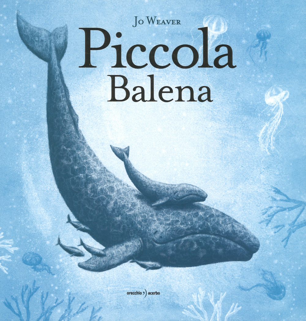 Piccola balena