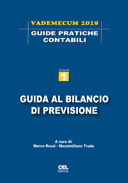 Guida al bilancio di previsione. Vademecum 2019. Vol. 1