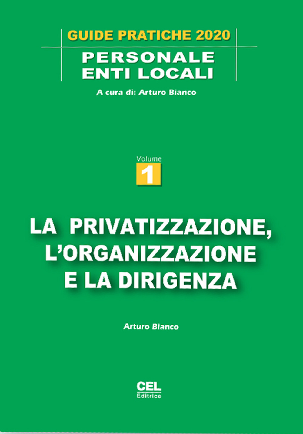 La privatizzazione, l'organizzazione e la dirigenza