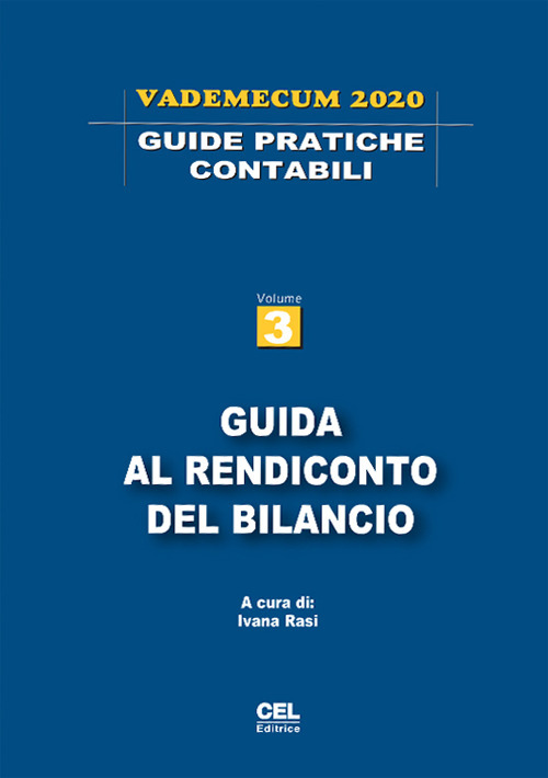 Guida al rendiconto del bilancio. Vademecum 2019. Vol. 3