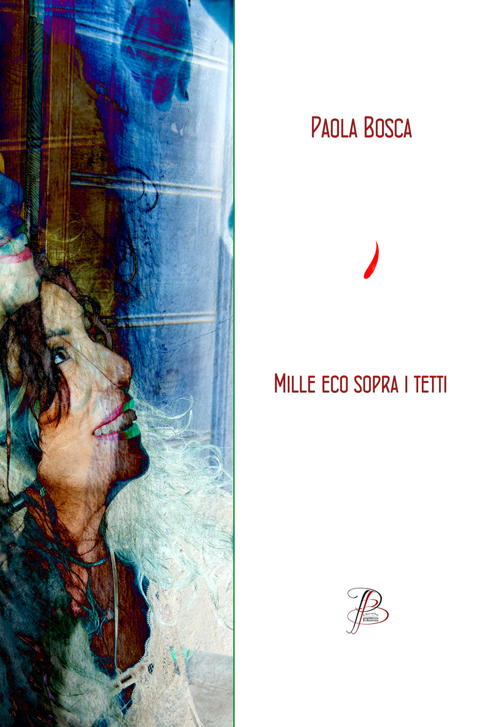 Mille eco sopra i tetti. Raccolta di poesie