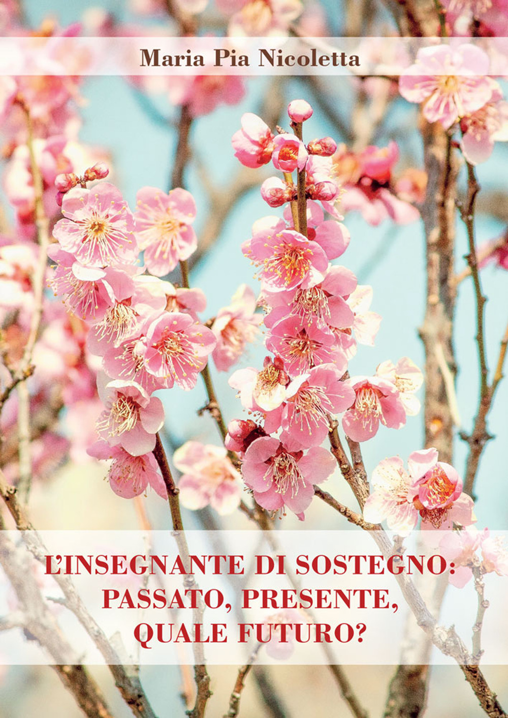 L'insegnante di sostegno: passato, presente, quale futuro?