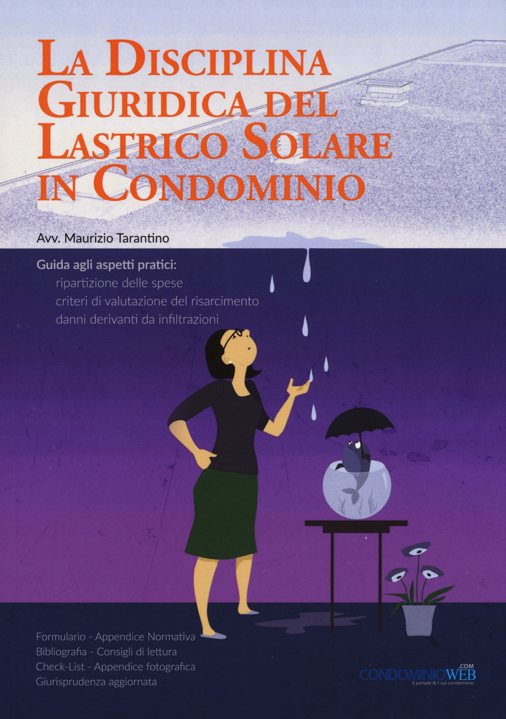 La disciplina giuridica del lastrico solare in condominio