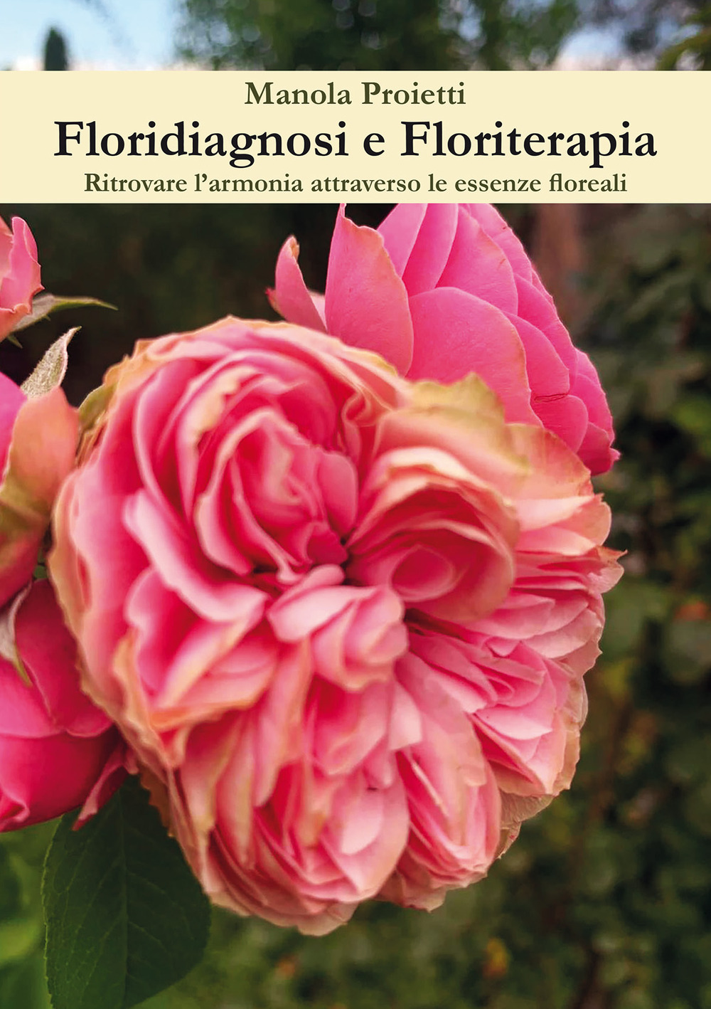Floridiagnosi e floriterapia. Ritrovare l'armonia attraverso le essenze floreali