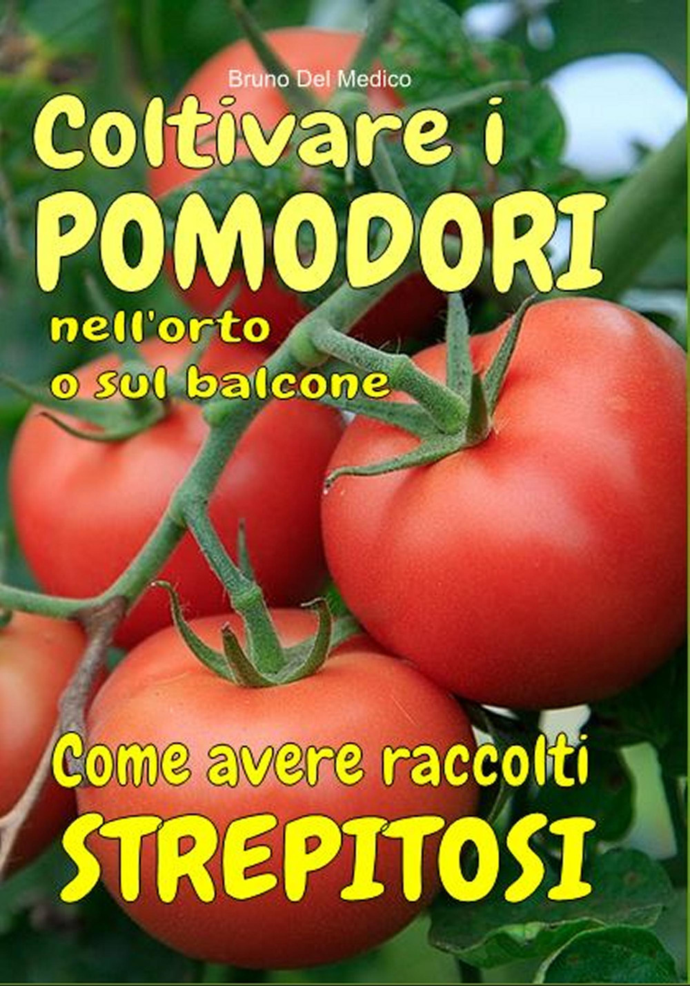 Coltivare i pomodori nell’orto. Come avere raccolti strepitosi. Dalla semina alla raccolta. Varietà, cure colturali, malattie, parassiti, concimazione, potatura.