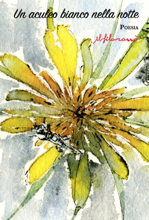 Un aculeo bianco nella notte