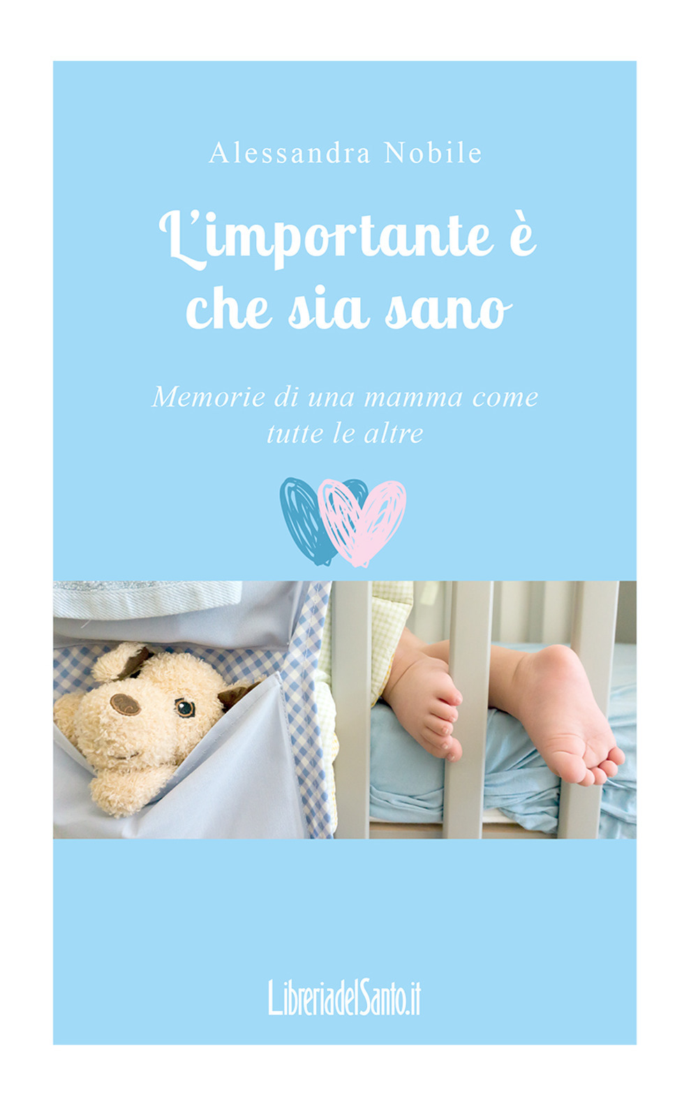 L'importante è che sia sano. Memorie di una mamma come tutte le altre