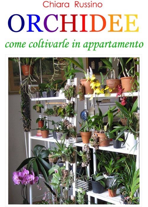 Orchidee. Come coltivarle in appartamento