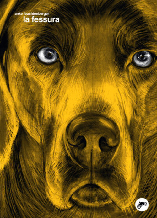 La fessura