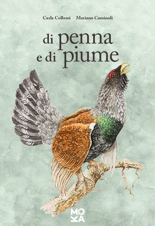 Di penna e di piume