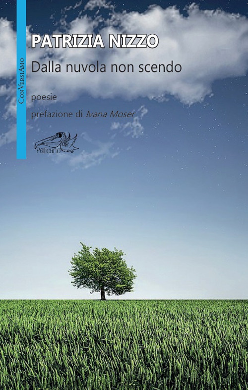 Dalla nuvola non scendo