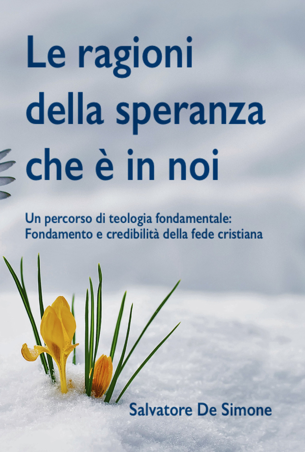Le ragioni della speranza che è in noi. Un percorso di teologia fondamentale: fondamento e credibilità della fede cristiana