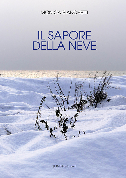 Il sapore della neve