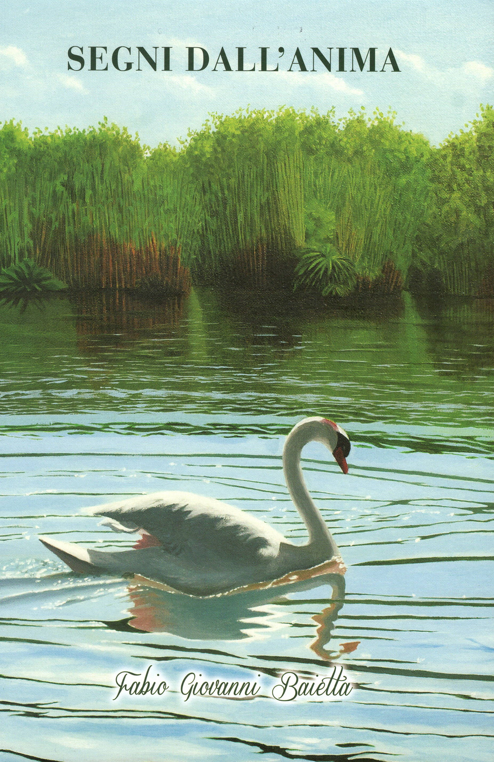 Fabio Giovanni Baietta. Segni dall'anima