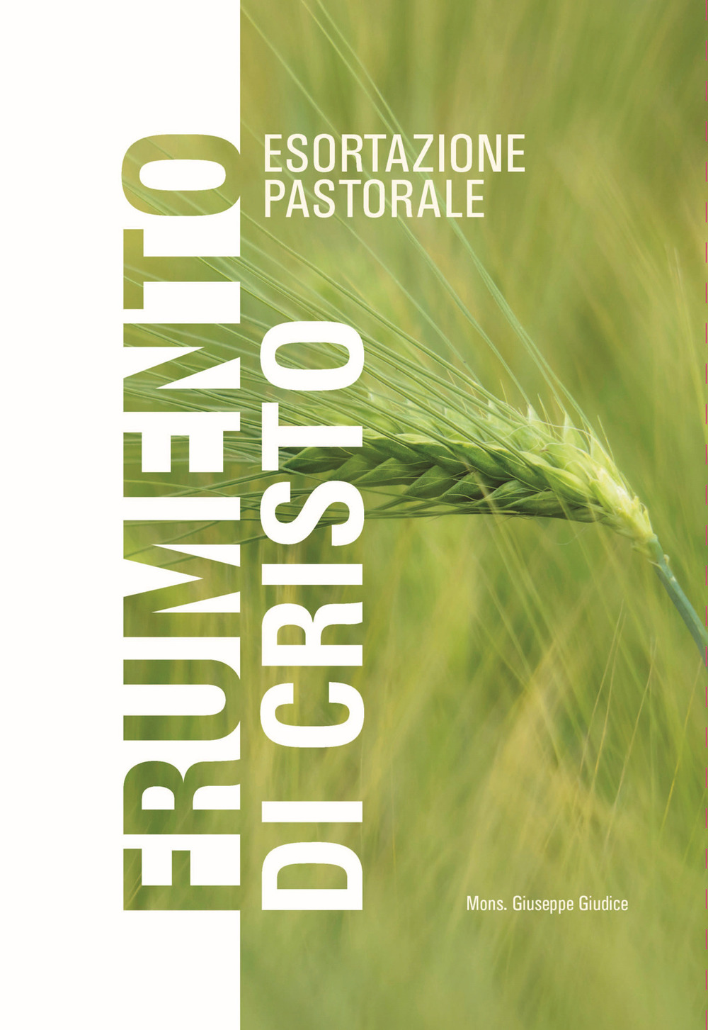 Frumento di Cristo. Esortazione pastorale
