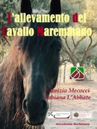 L'allevamento del cavallo maremmano