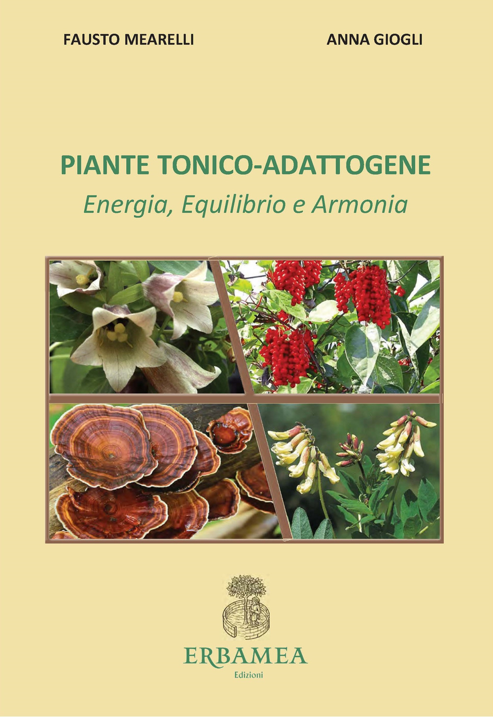 Piante tonico-adattogene. Energia, equilibrio e armonia