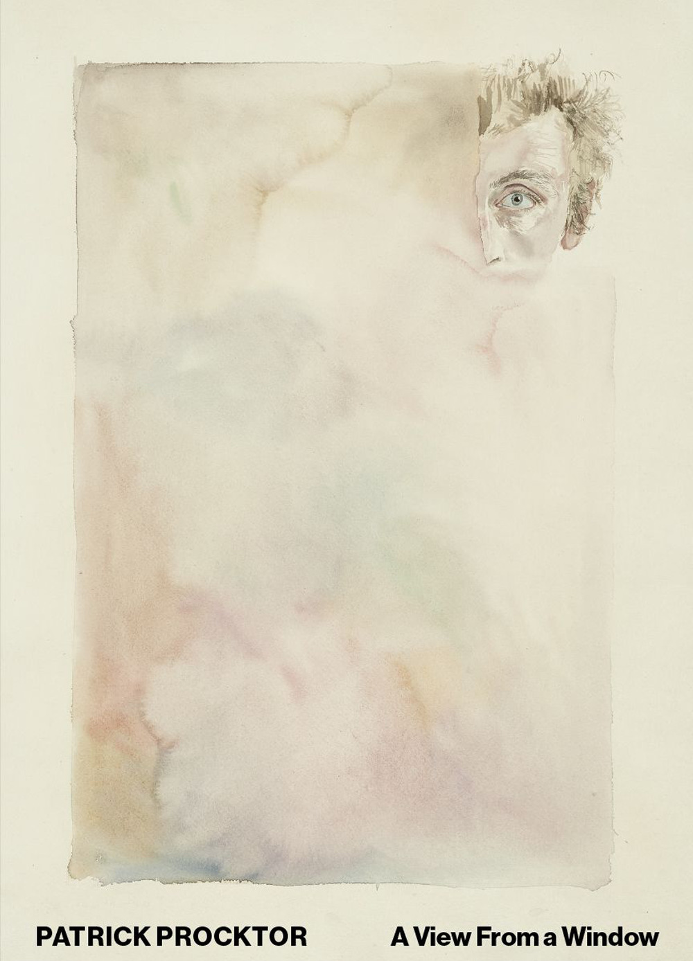 Patrick Procktor. A view from a window