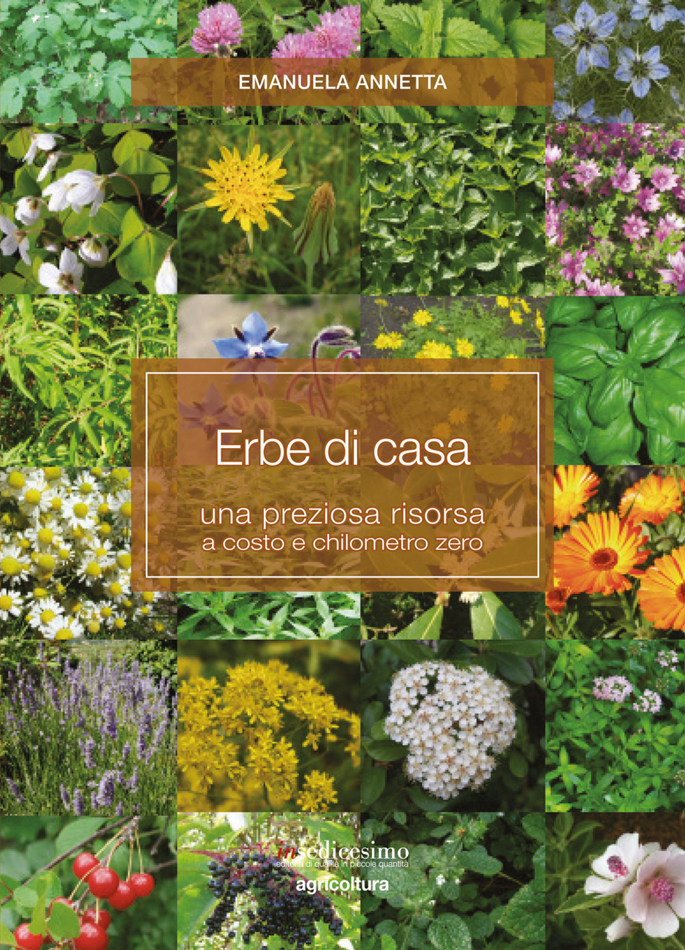 Erbe di casa. Una preziosa risorsa a costo e chilometro zero