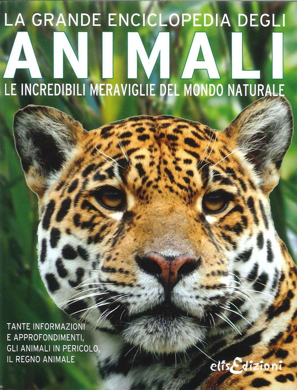 La grande enciclopedia degli animali. Le incredibili meraviglie del mondo naturale