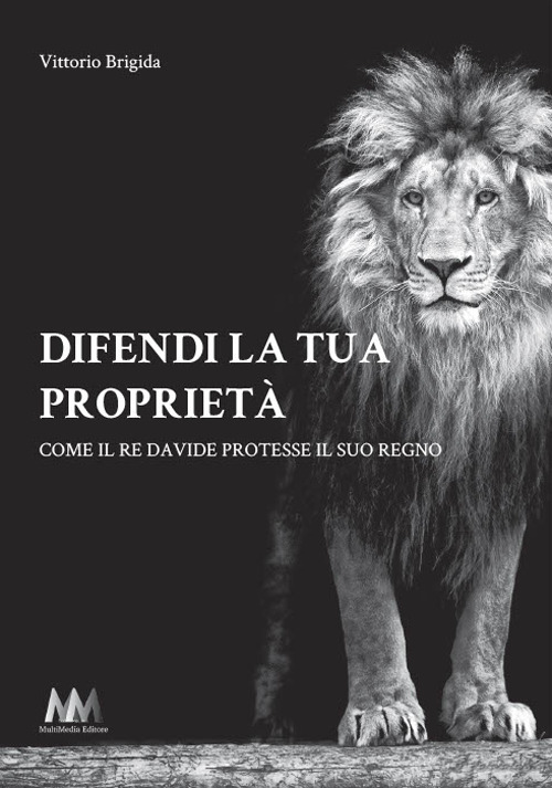 Difendi la tua proprietà. Come il re Davide protesse il suo regno