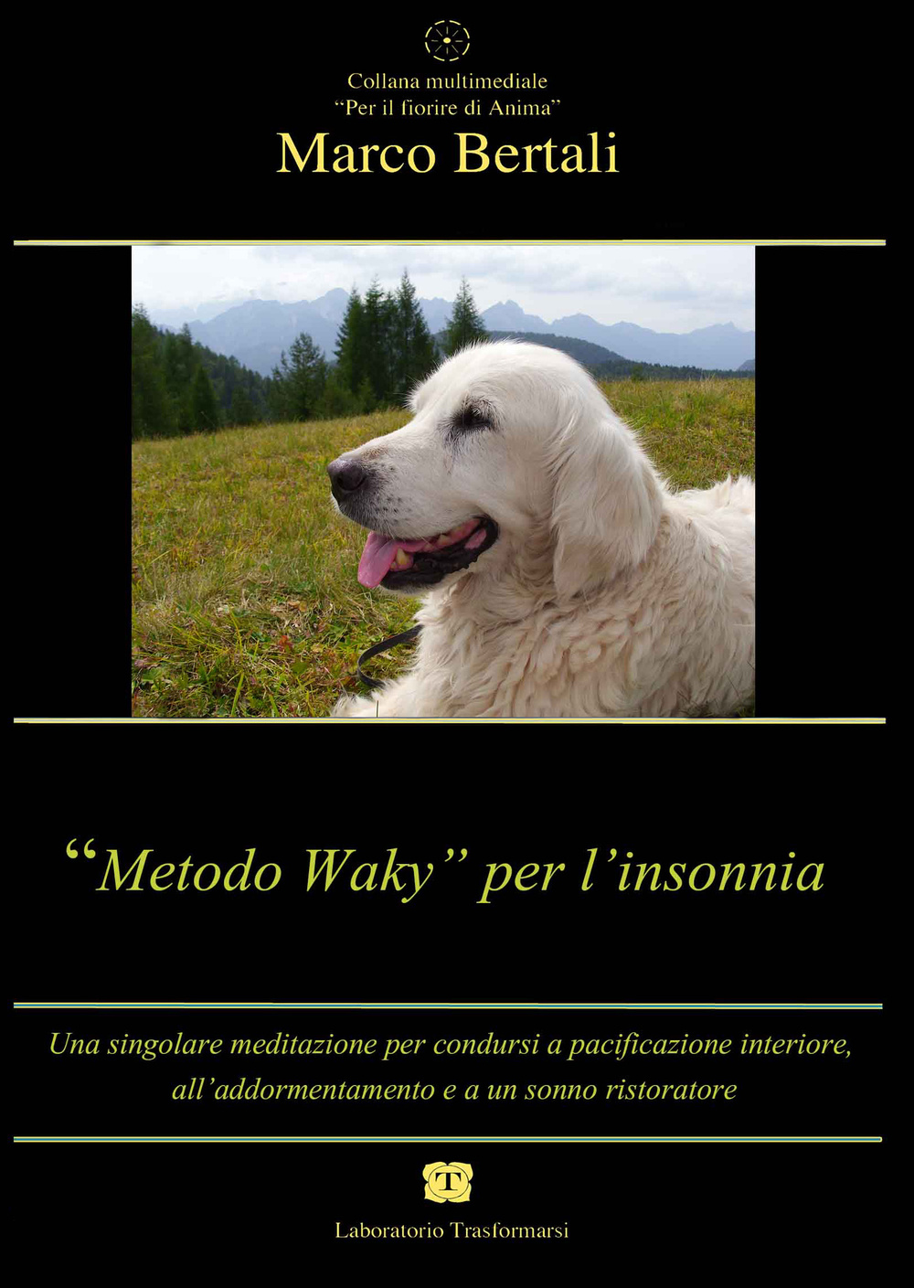 «Metodo Waky» per l'insonnia. Una singolare meditazione per condursi a pacificazione interiore, all'addormentamento e a un sonno ristoratore. Audiolibro. CD Audio
