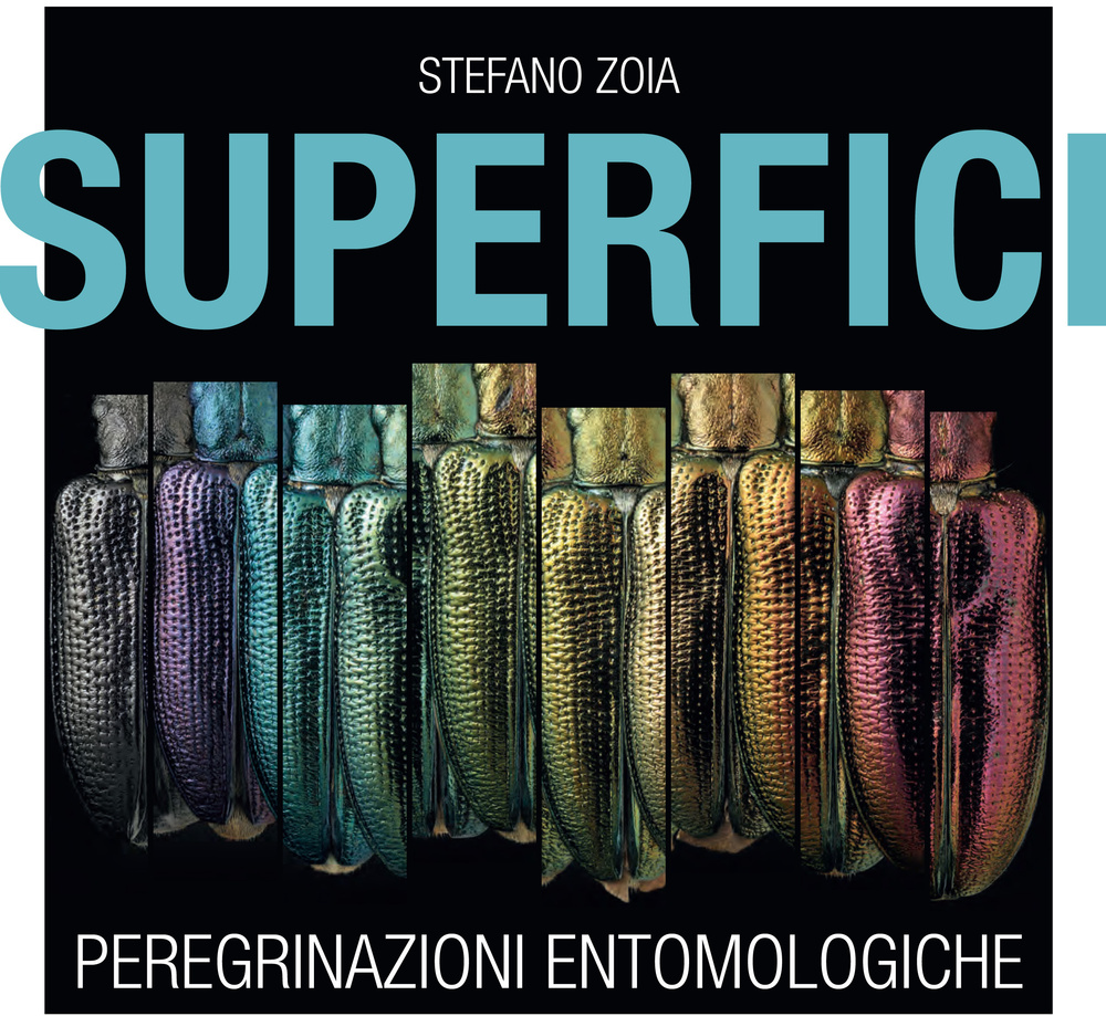 Superfici. Peregrinazioni entomologiche