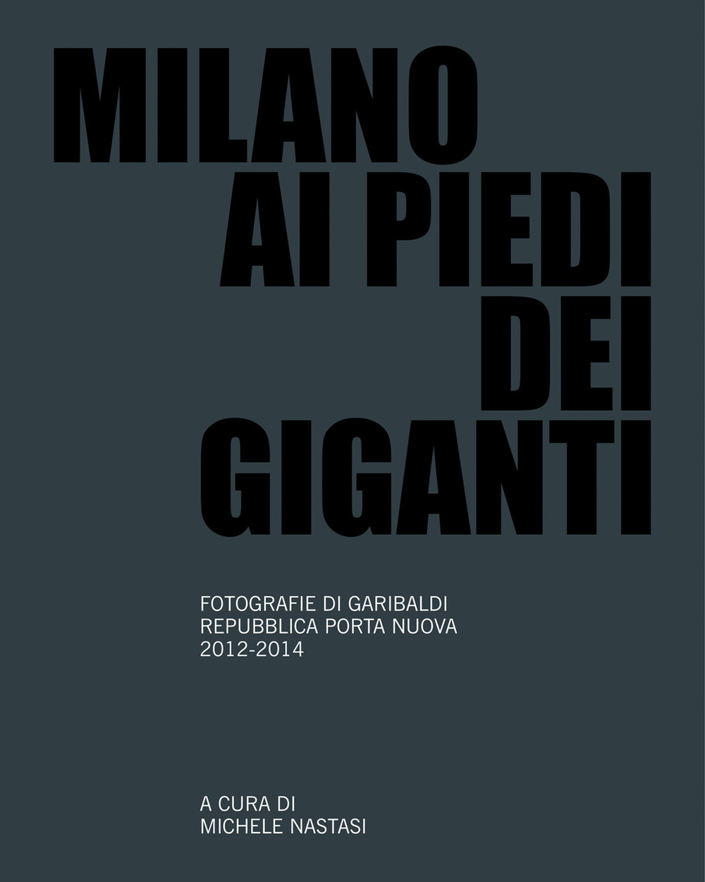 Milano ai piedi dei giganti. Fotografie di Garibaldi, Repubblica, Porta Nuova 2012-2014
