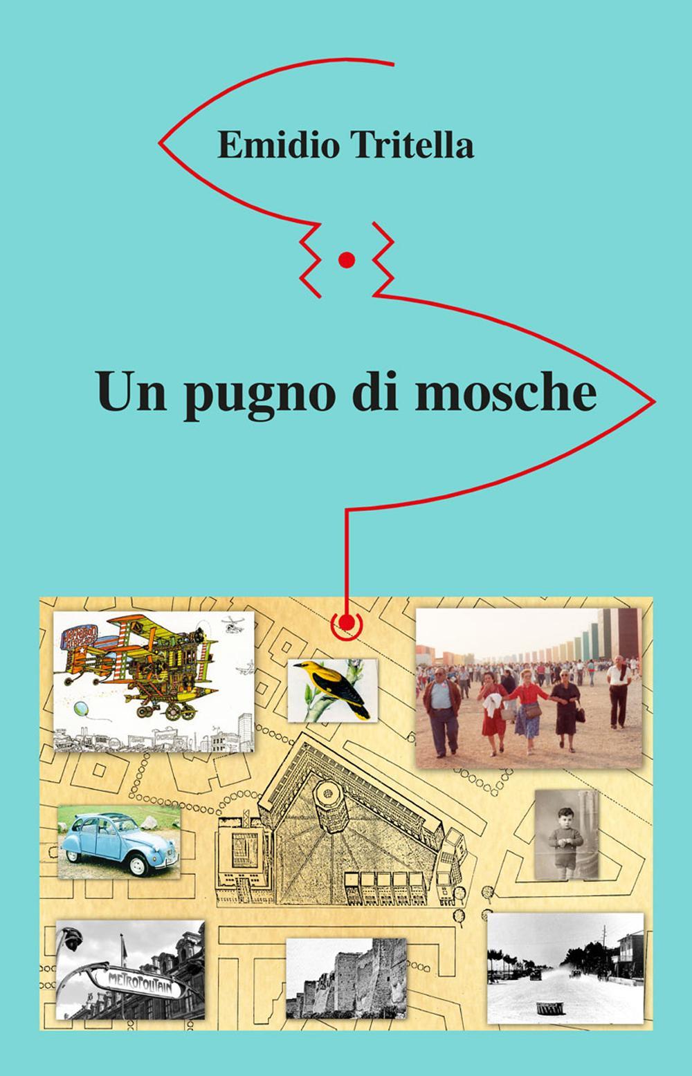 Un pugno di mosche