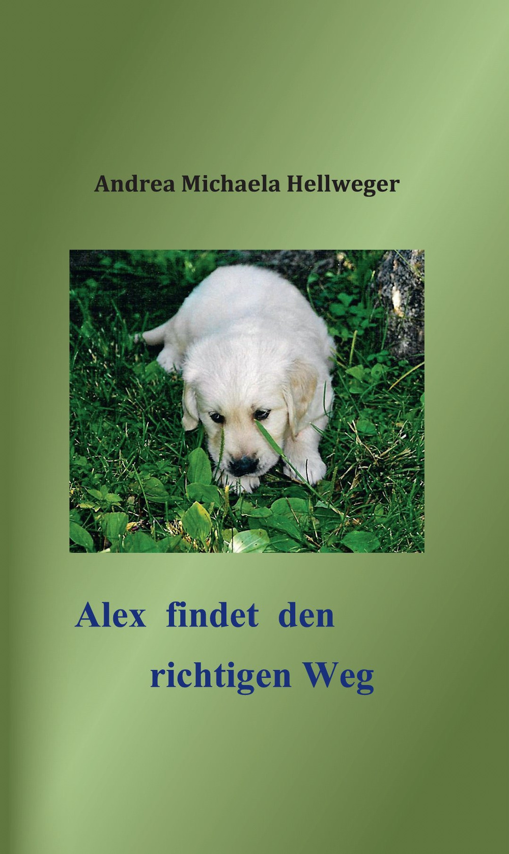 Alex findet den richtigen Weg