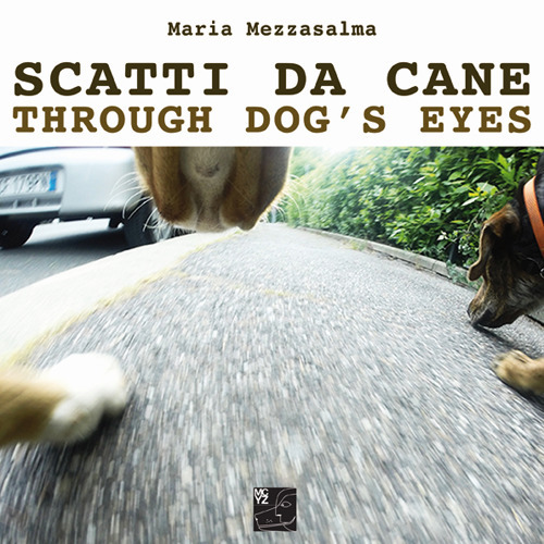 Scatti da cane-Through dog's eyes