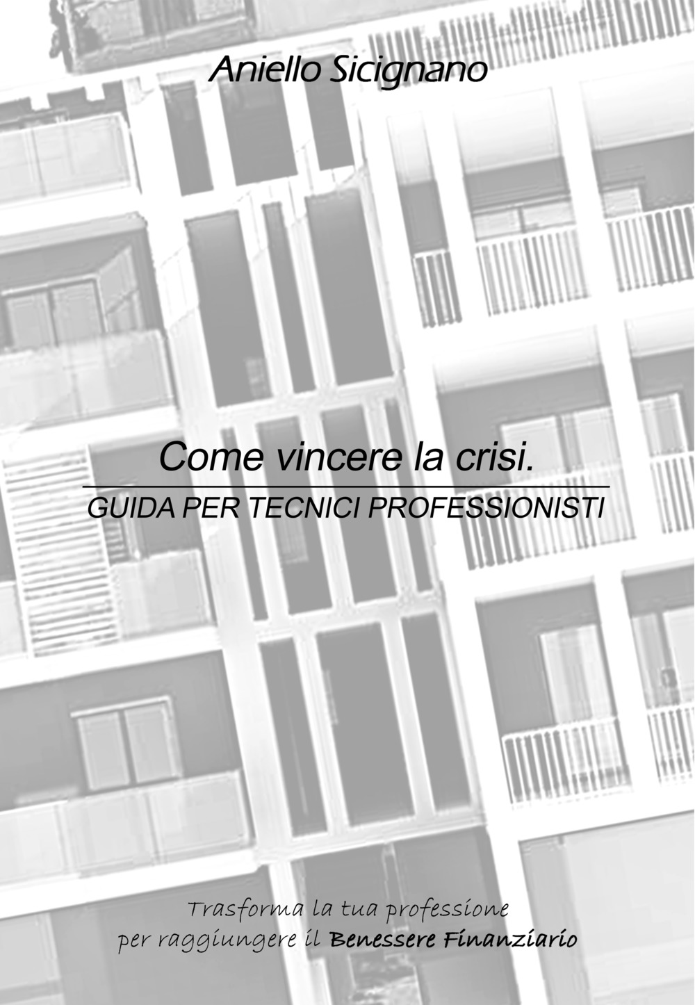Come vincere la crisi. Guida per tecnici professionisti. Trasforma la tua professione per raggiungere il benessere finanziario