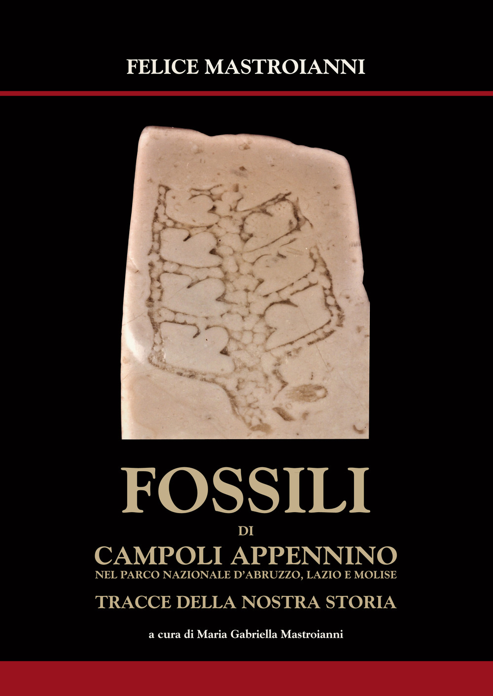 Fossili di Campoli Appennino. Nel parco Nazionale Abruzzo, Lazio e Molise tracce della nostra storia