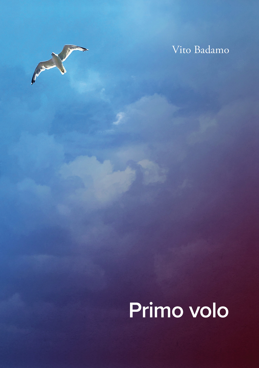Primo volo