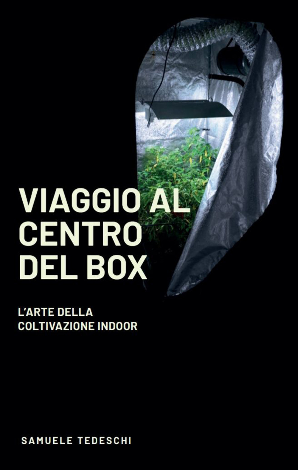 Viaggio al centro del Box. L'arte della coltivazione Indoor