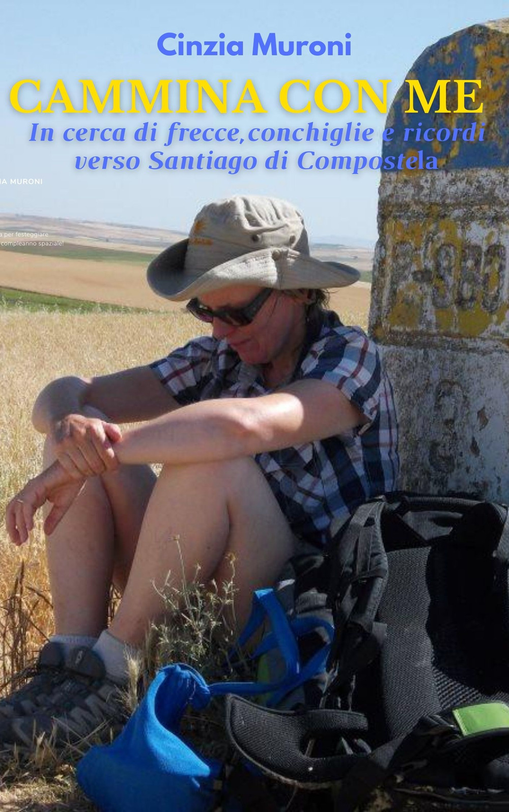 Cammina con me. In cerca di frecce, conchiglie e ricordi verso Santiago di Compostela