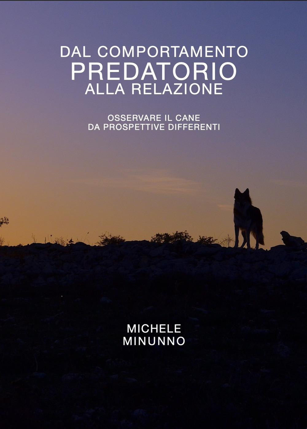 Dal comportamento predatorio alla relazione. Osservare il cane da prospettive differenti